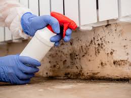 Best Crawl Space Mold Remediation  in Kemmerer, WY